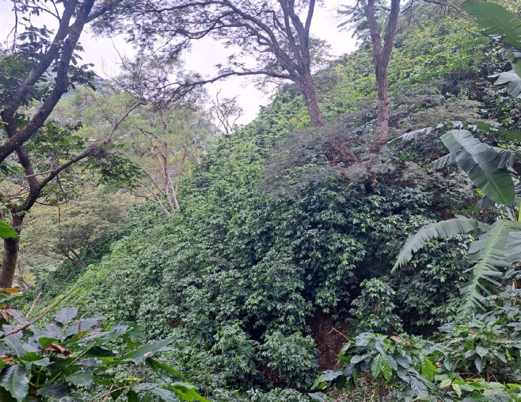 Aldea-Piedras-de-Moler-municipio-de-la-paz-2-pdf